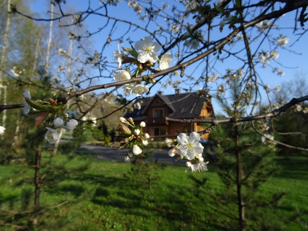 Willa Potoczowka Rzyki Exterior photo